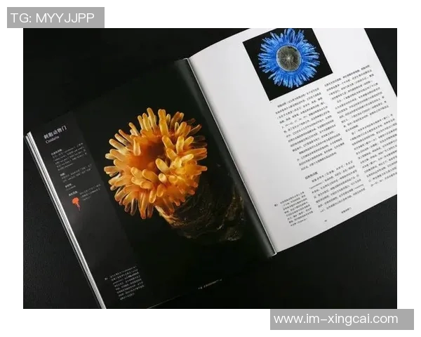 维金斯期待亲历多样物种之地探索宇宙奥秘与生命的奇迹